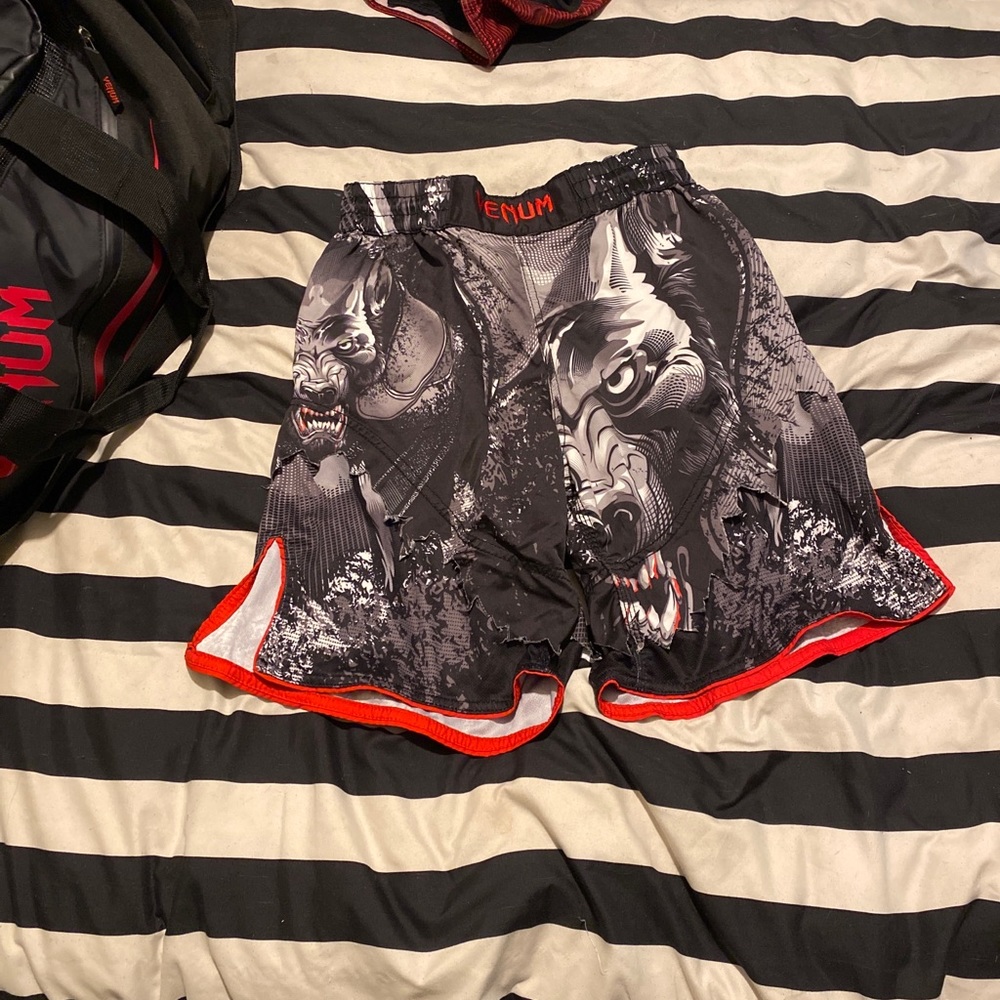 Xs Venum Fight Shorts